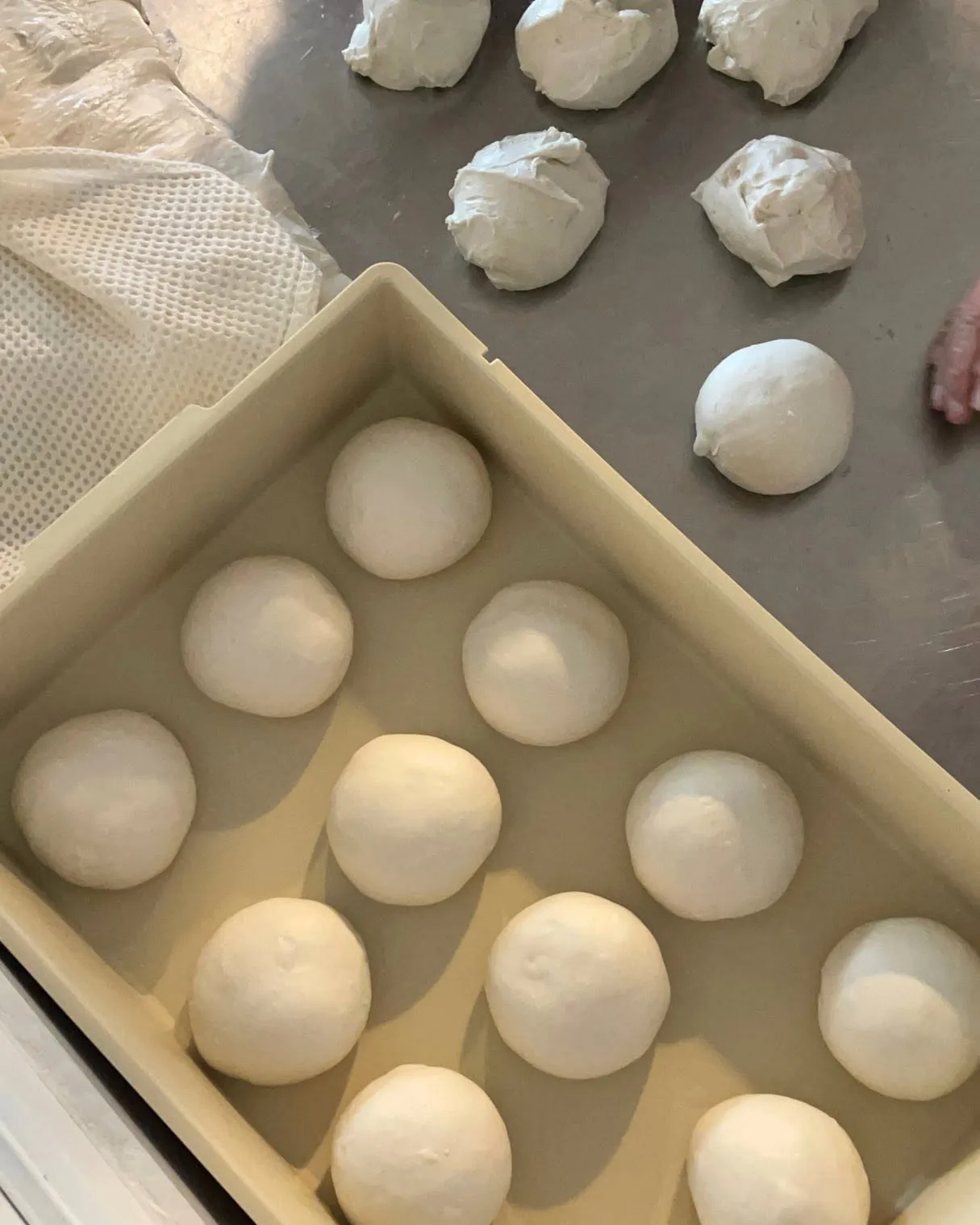 Fresh mozzarella portioned on the steel bench